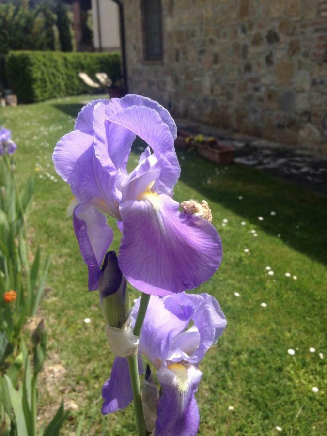 Borgo Del Molinello Villa Sant'Albino Dış mekan fotoğraf
